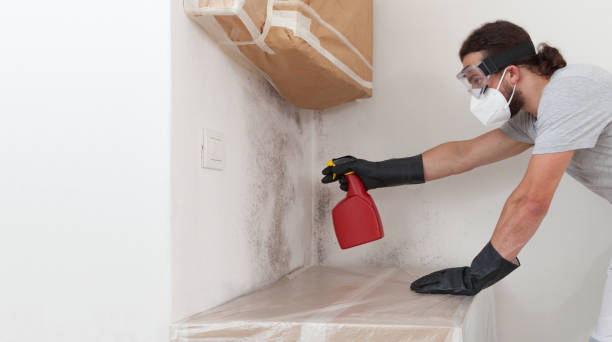 Professional Bathroom Mold Removal technician working in Palm Beach Gardens, FL